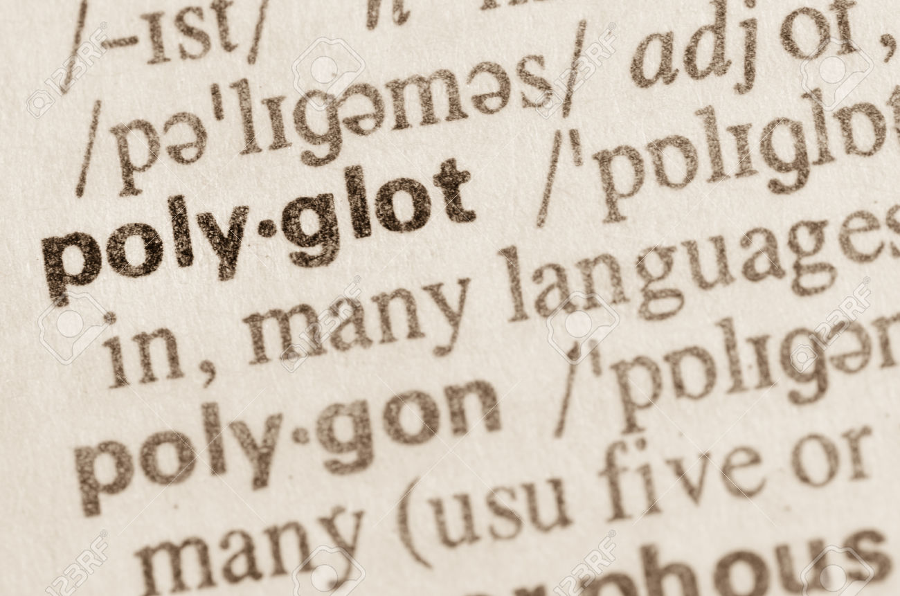 Polyglot - definition and meaning King    

     

    

   The